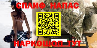 гашик Пугачёв